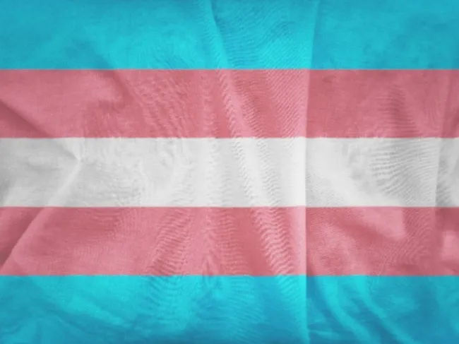 transgender flag